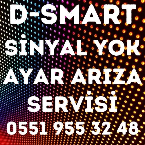 İstanbul Dsmart Servisi