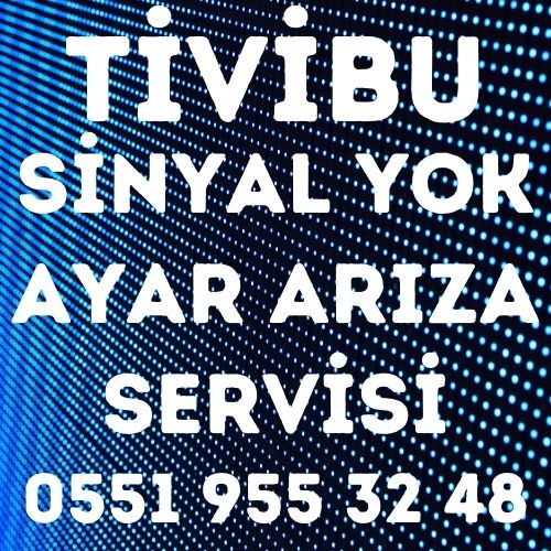Ataşehir Tivibu Servisi