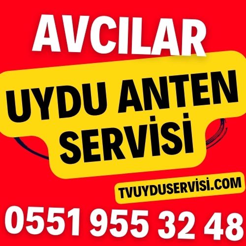 Avcılar Uydu Anten Servisi