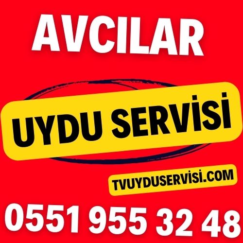 Avcılar Uydu Servisi