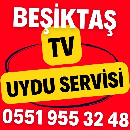 Beşiktaş TV Uydu Servisi