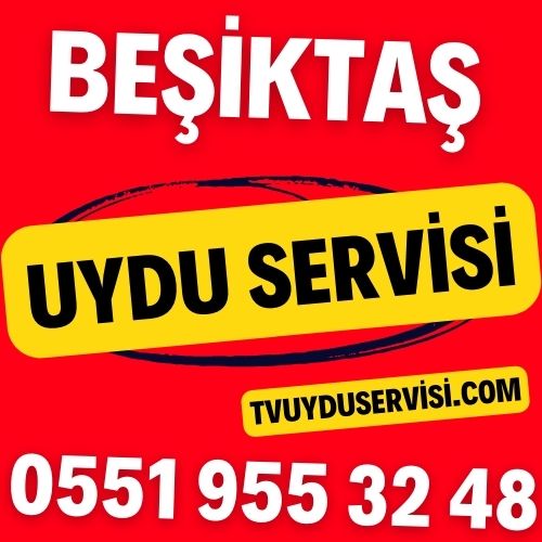 Beşiktaş Uydu Servisi