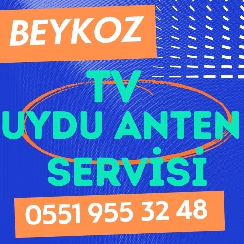 Beykoz Televizyon Çanak Anten Uydu Servisi