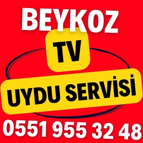 Beykoz TV Uydu Servisi