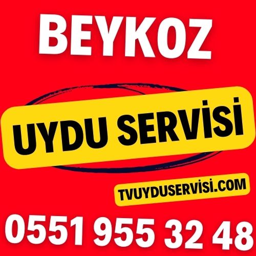 Beykoz Uydu Servisi