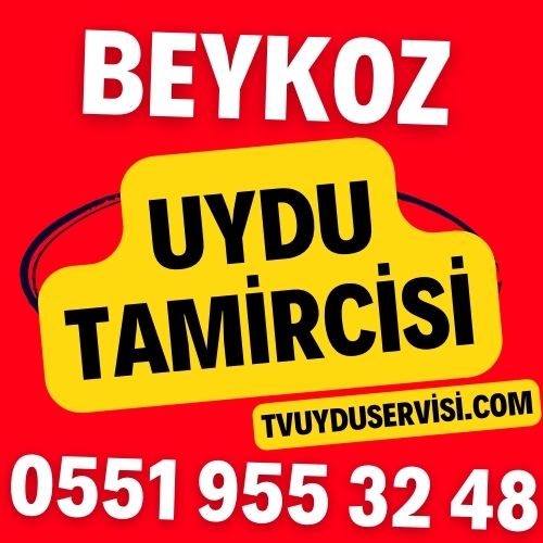 Beykoz Uydu Tamircisi