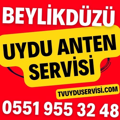 Beylikdüzü Uydu Anten Servisi