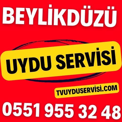 Beylikdüzü Uydu Servisi