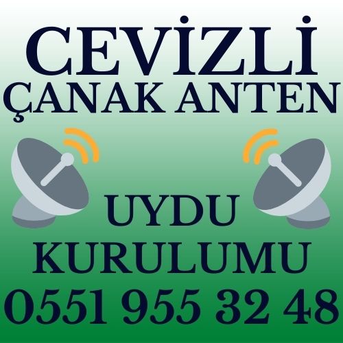 Cevizli Çanak Anten Uydu Kurulumu Servisi