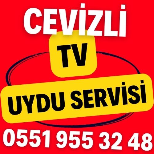 cevizli-tv-uydu-servisi Cevizli TV Uydu Servisi
