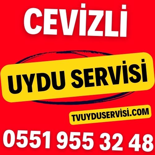cevizli-uydu-servisi Cevizli Uydu Servisi