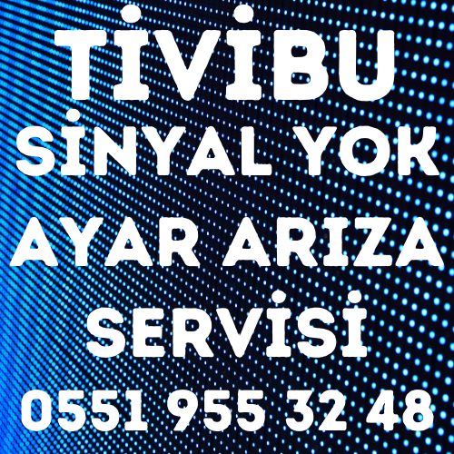 Gaziosmanpaşa Tivibu Servisi