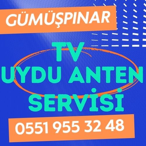 gumuspinar-televizyon-canak-anten-uydu-servisi Gümüşpınar Televizyon Çanak Anten Uydu Servisi