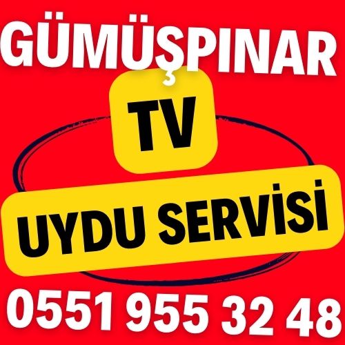 gumuspinar-tv-uydu-servisi Gümüşpınar TV Uydu Servisi