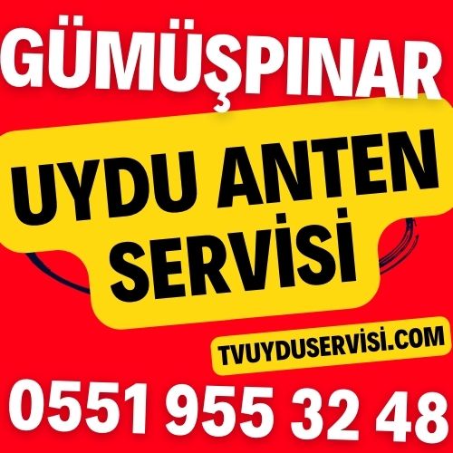 gumuspinar-uydu-anten-servisi Gümüşpınar Uydu Anten Servisi