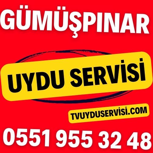 gumuspinar-uydu-servisi Gümüşpınar Uydu Servisi