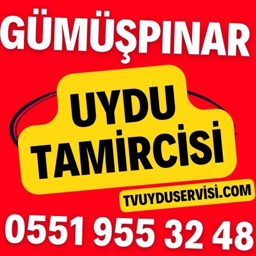 gumuspinar-uydu-tamircisi Gümüşpınar Uydu Tamircisi