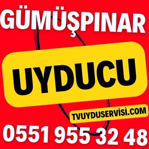 gumuspinar-uyducu Gümüşpınar Uyducu