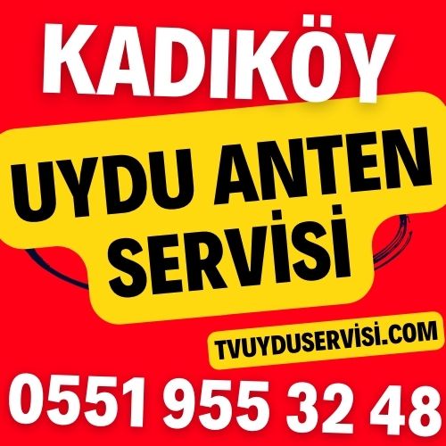 Kadıköy Uydu Anten Servisi