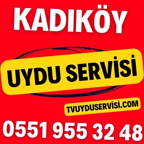 Kadıköy Uydu Servisi