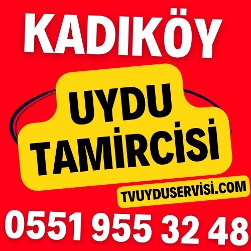 Kadıköy Uydu Tamircisi