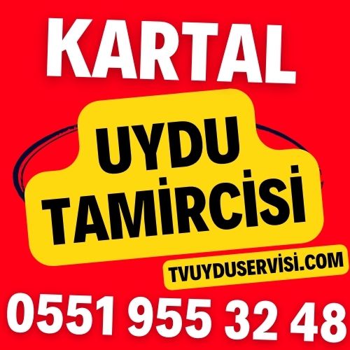 Kartal Uydu Tamircisi