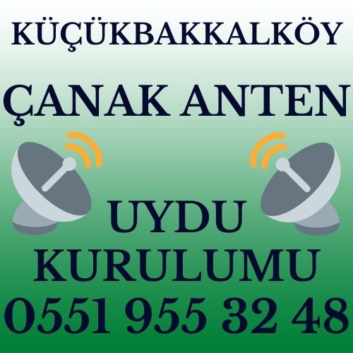 Küçükbakkalköy Çanak Anten Uydu Kurulumu Servisi