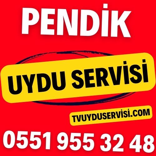 Pendik Uydu Servisi