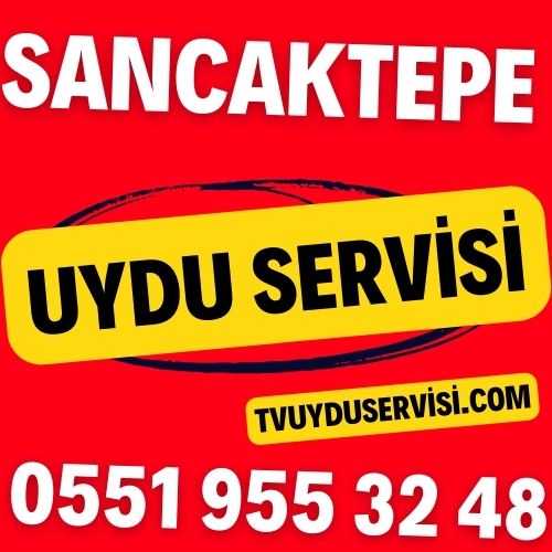 Sancaktepe Uydu Servisi