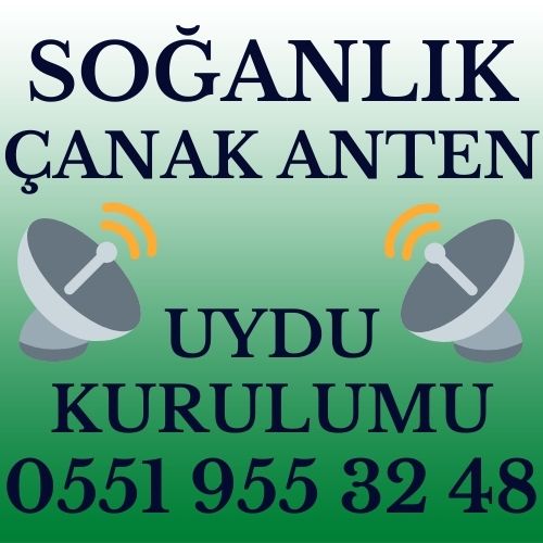 Soğanlık Çanak Anten Uydu Kurulumu Servisi