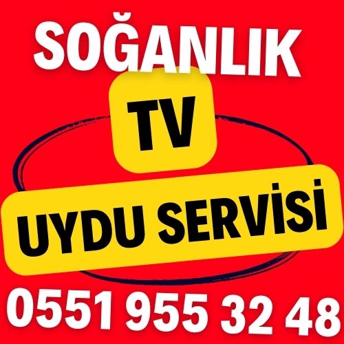 soganlik-tv-uydu-servisi Soğanlık TV Uydu Servisi