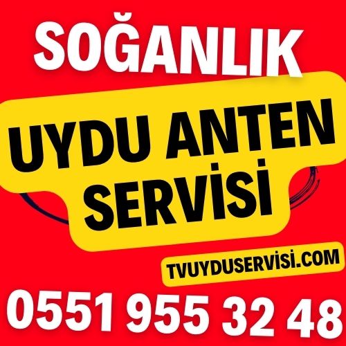 soganlik-uydu-anten-servisi Soğanlık Uydu Anten Servisi