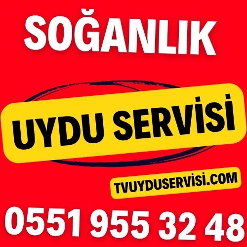 soganlik-uydu-servisi Soğanlık Uydu Servisi