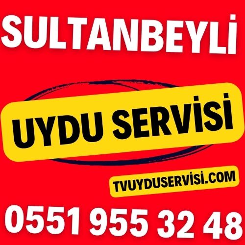 Sultanbeyli Uydu Servisi