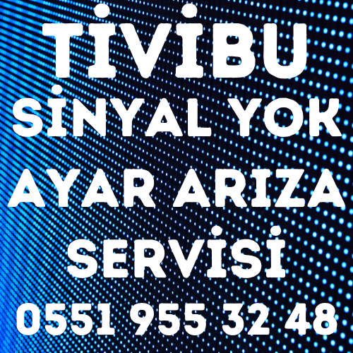 Yıldıztabya Tivibu Servisi