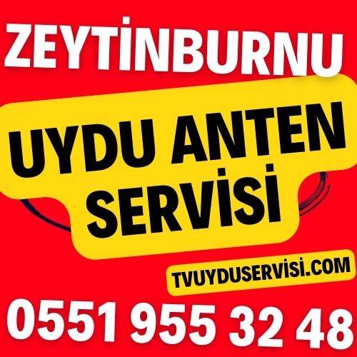 Zeytinburnu Uydu Anten Servisi