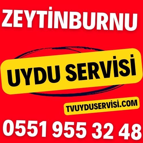 Zeytinburnu Uydu Servisi