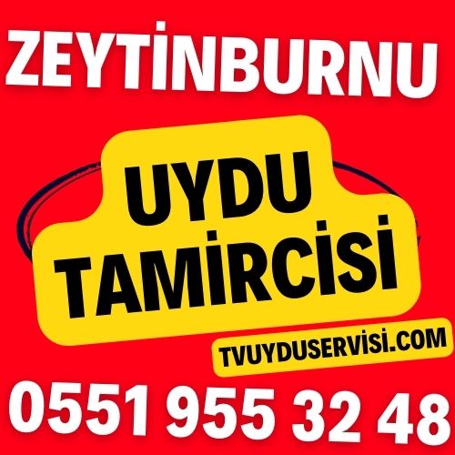 Zeytinburnu Uydu Tamircisi