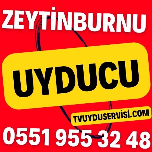 Zeytinburnu Uyducu