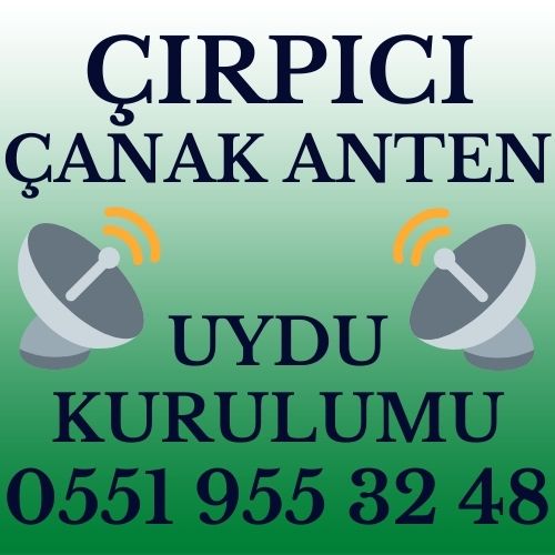 Çırpıcı Çanak Anten Uydu Kurulumu Servisi