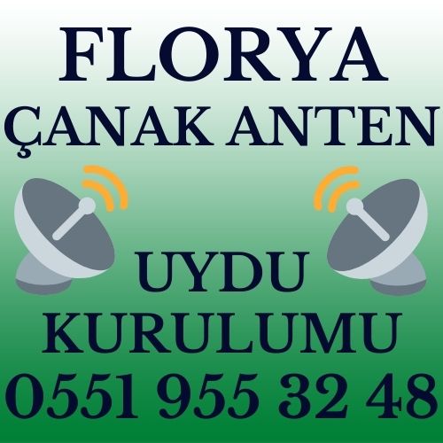 Florya Çanak Anten Uydu Kurulumu Servisi