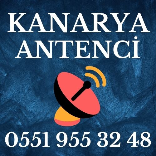 Kanarya Antenci