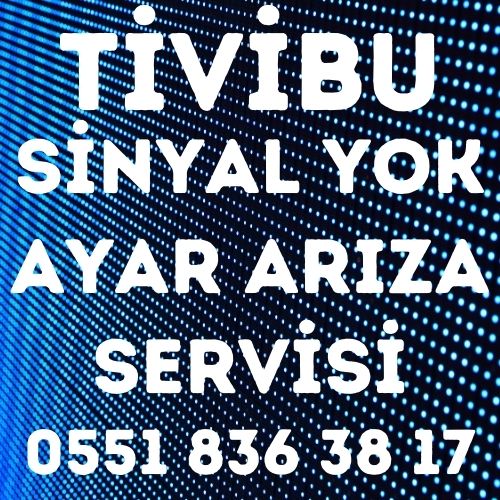Ankara Tivibu Servisi