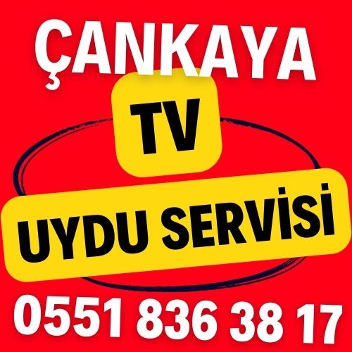 Çankaya TV Uydu Servisi