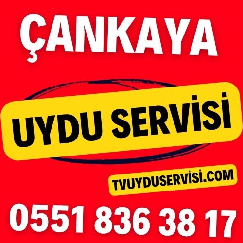 Çankaya Uydu Servisi