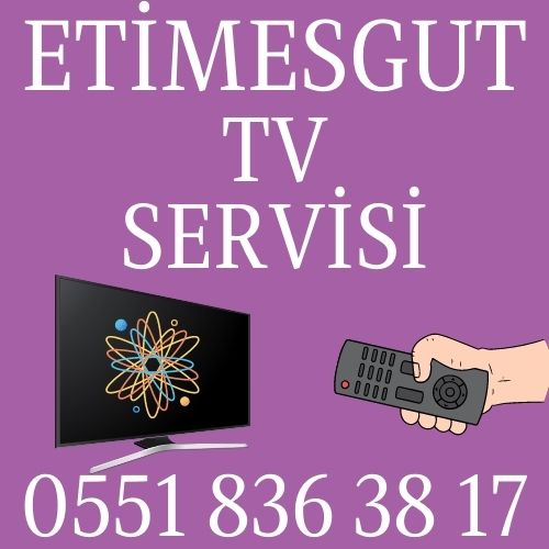 Etimesgut TV Servisi