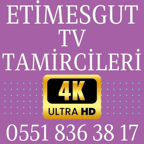 Etimesgut TV Tamircileri