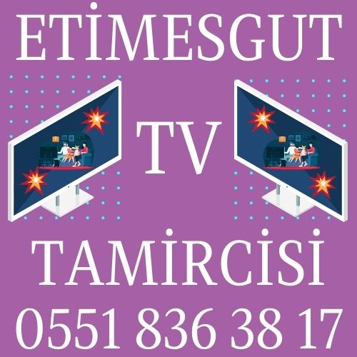 Etimesgut TV Tamircisi