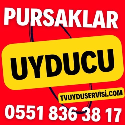 Pursaklar Uyducu